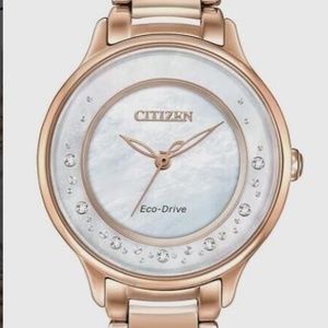 Citizen Eco-Drive Women's EM0382-86D Circle of Time Rose Gold